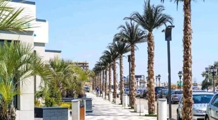 Apartament Mario Mamaia Nord Plaja Zanzibar Năvodari Zewnętrze zdjęcie