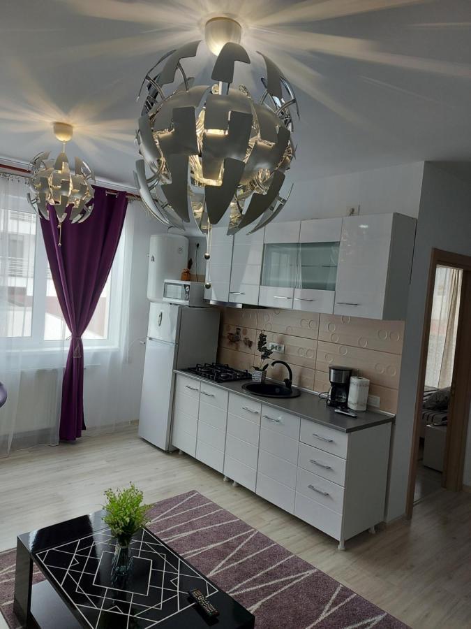 Apartament Mario Mamaia Nord Plaja Zanzibar Năvodari Zewnętrze zdjęcie